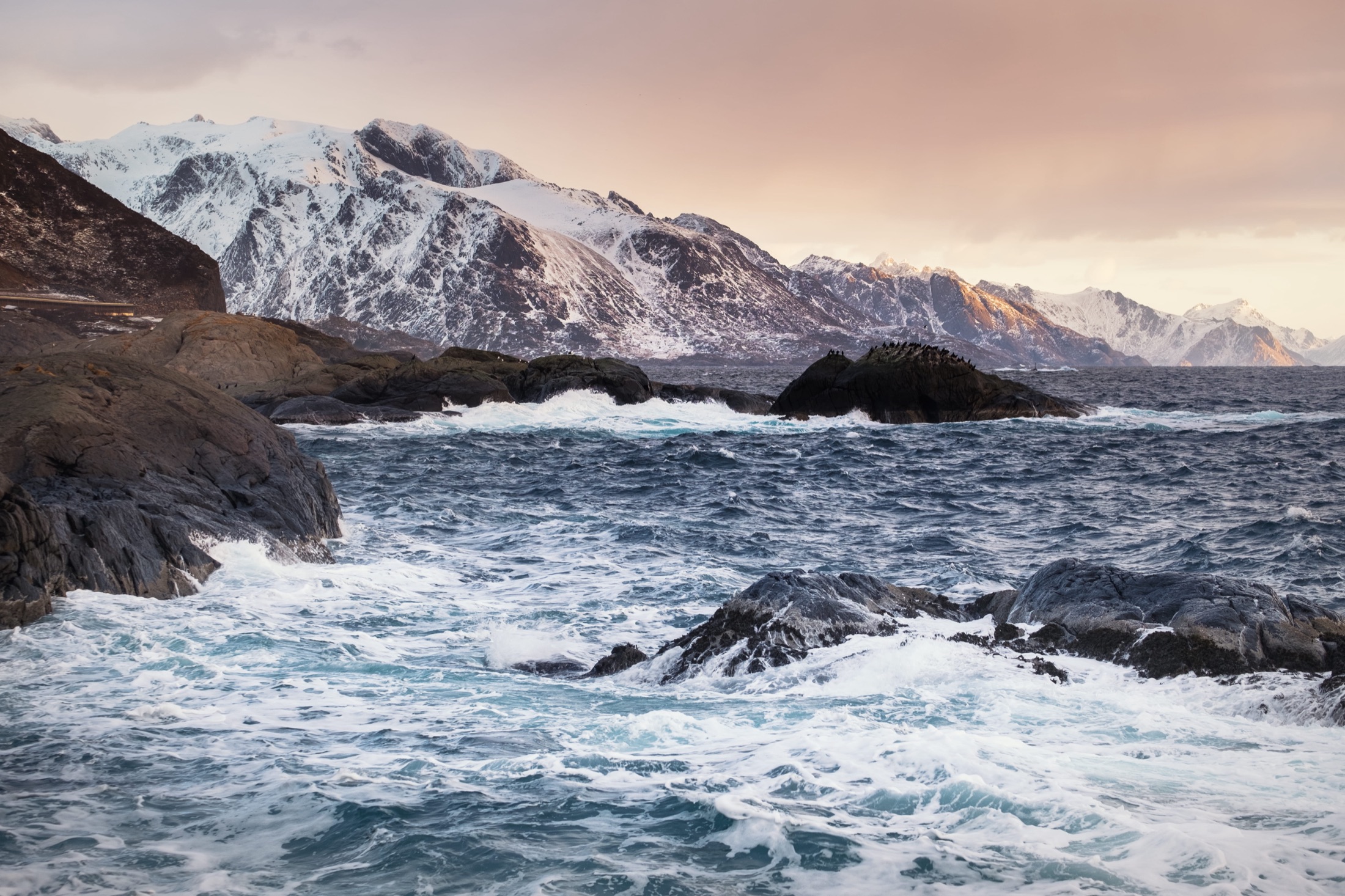 Sustainable salmon production